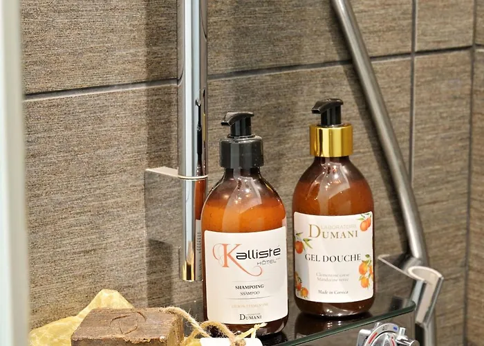 Kalliste 3* 阿雅克肖