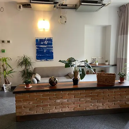 卡利斯特酒店 3* 阿雅克肖